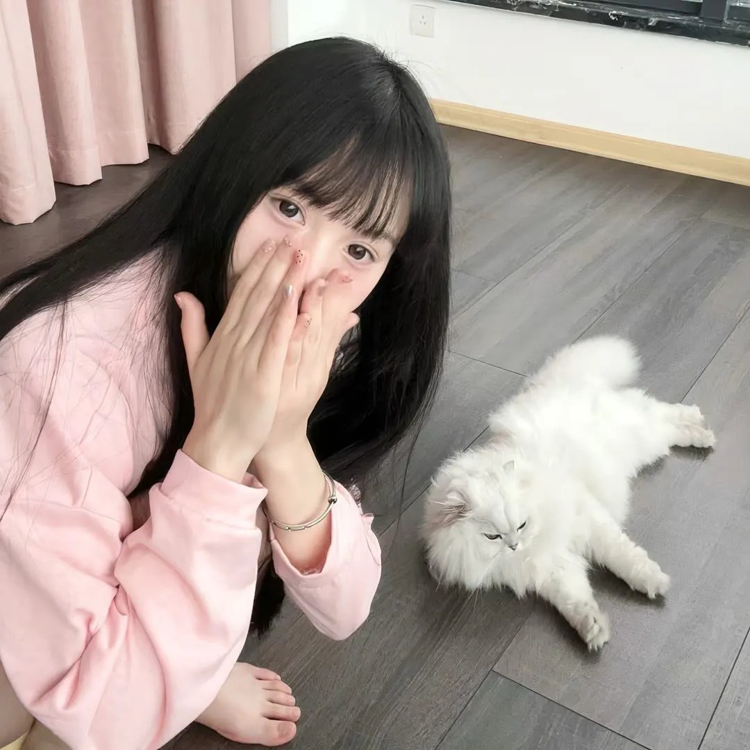 双子镇